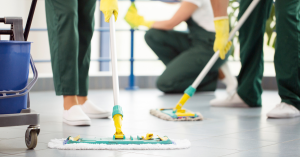 What to Expect from a Professional Maid Service in Newport Beach?, You’ve Got It Maid