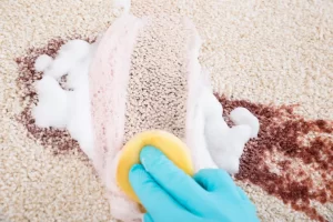 The Top 10 Toughest Stains and How Professional Cleaners Handle Them in Newport Beach, You’ve Got It Maid