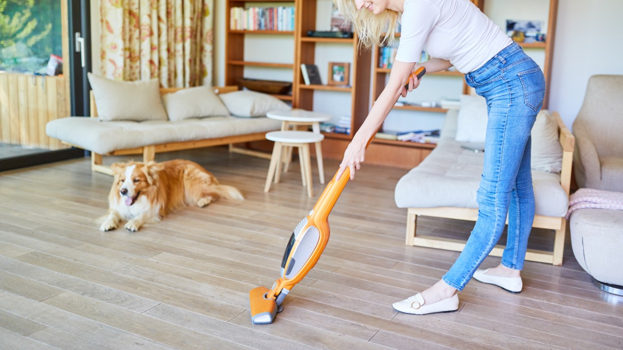 How Professional Cleaners Tackle Pet Hair in Newport Beach Homes, You’ve Got It Maid